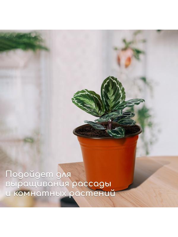 Горшок для рассады, 2,5 л, d = 18 см, h = 17 см, терракот, Greengo
