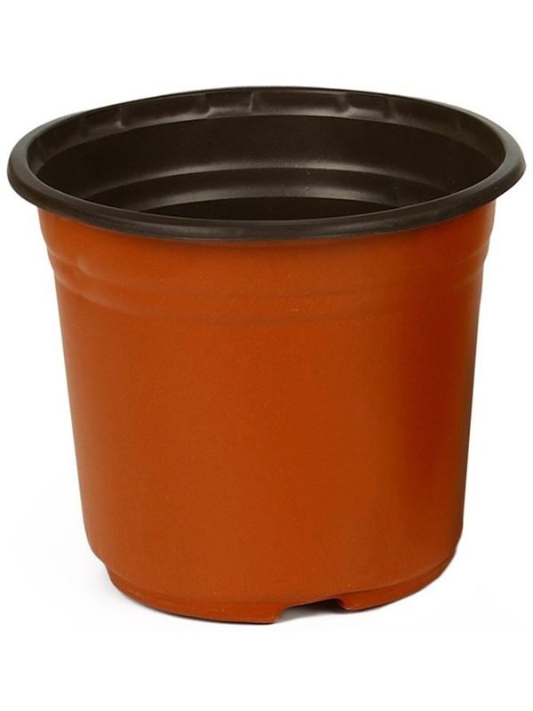 Горшок для рассады, 3,5 л, d = 20 см, h = 20 см, терракот, Greengo