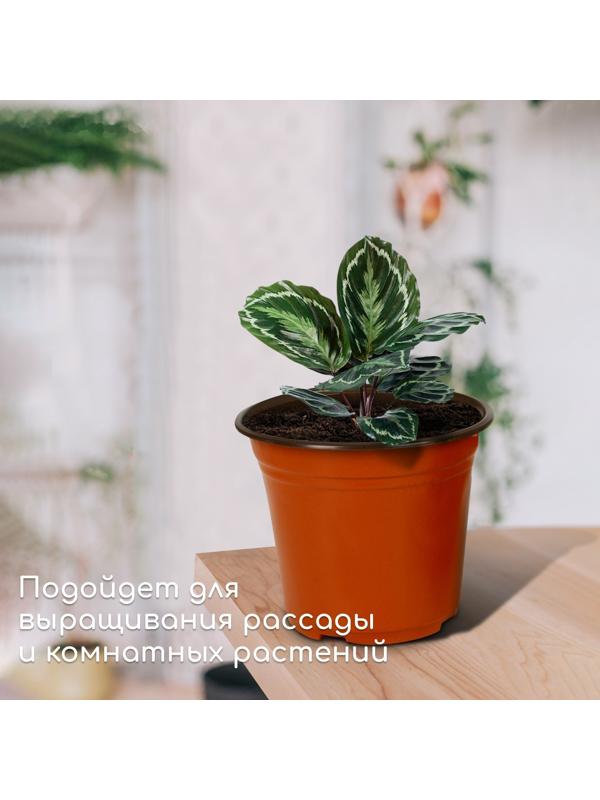 Горшок для рассады, 3,5 л, d = 20 см, h = 20 см, терракот, Greengo