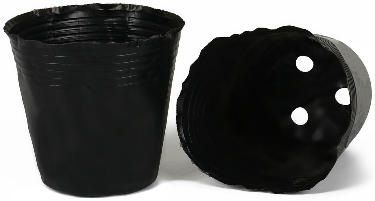 Горшки для рассады, 600 мл, 12,5 × 12,5 × 10,5 см, полиэтилен толщиной 50 мкм, чёрный, Greengo