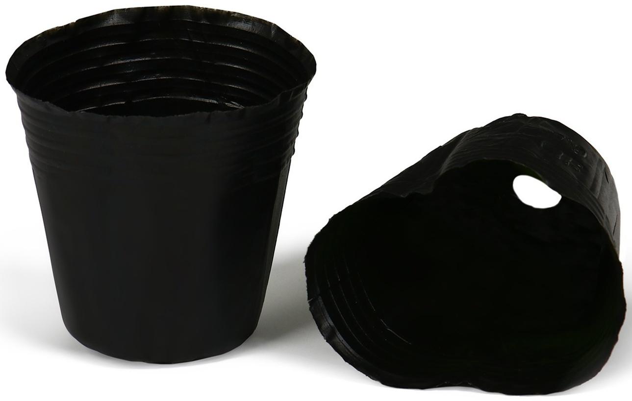 Горшки для рассады, 70 мл, 5,5 × 5,5 × 6 см, полиэтилен толщиной 50 мкм, чёрный, Greengo