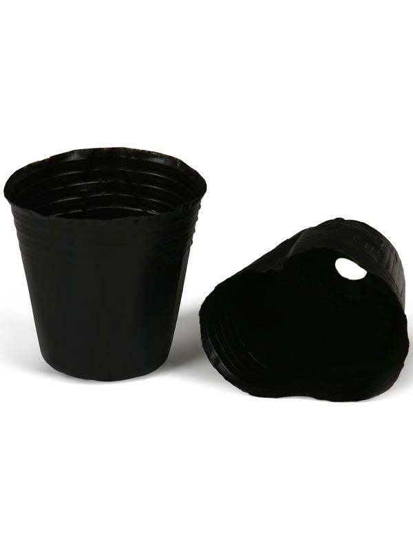 Горшки для рассады, 70 мл, 5,5 × 5,5 × 6 см, полиэтилен толщиной 50 мкм, чёрный, Greengo
