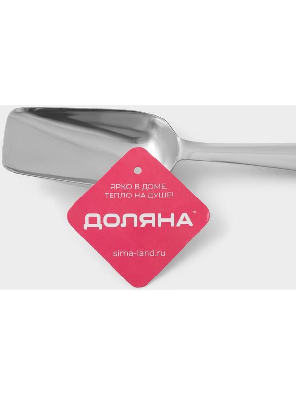 Совок для льда из нержавеющей стали Доляна, длина 22,5 см, цвет хромированный