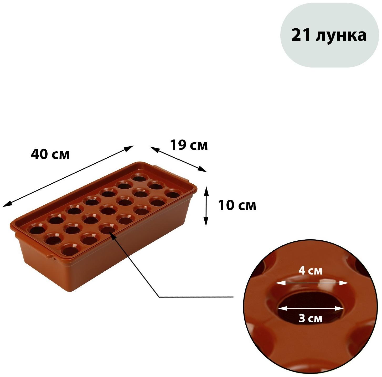 Ящик для выращивания зелёного лука, 40 × 19 × 10 см, 21 лунка, красный