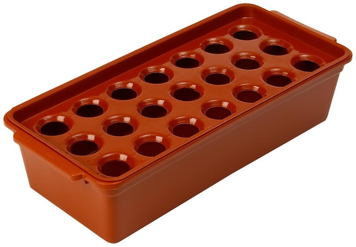 Ящик для выращивания зелёного лука, 40 × 19 × 10 см, 21 лунка, красный