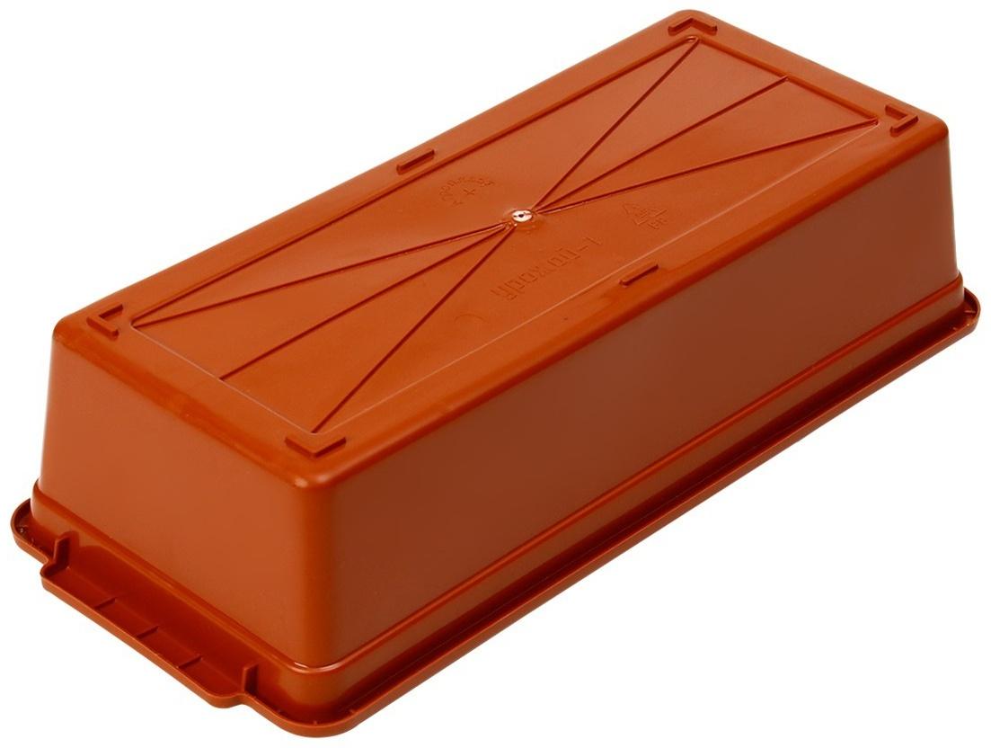 Ящик для выращивания зелёного лука, 40 × 19 × 10 см, 21 лунка, красный