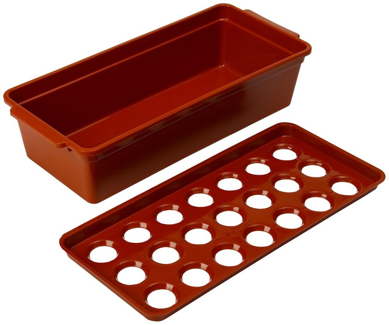 Ящик для выращивания зелёного лука, 40 × 19 × 10 см, 21 лунка, красный