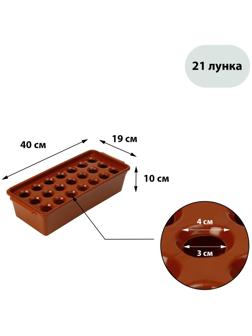 Ящик для выращивания зелёного лука, 40 × 19 × 10 см, 21 лунка, красный