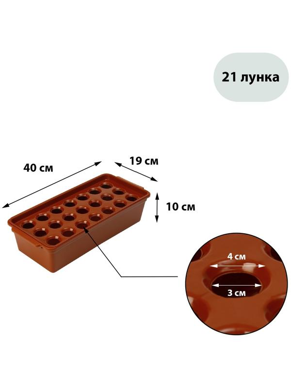 Ящик для выращивания зелёного лука, 40 × 19 × 10 см, 21 лунка, красный