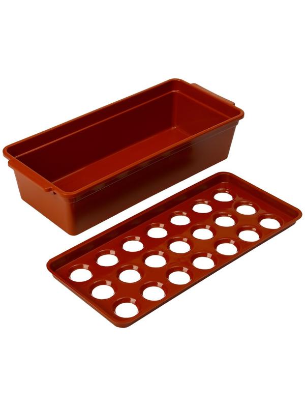 Ящик для выращивания зелёного лука, 40 × 19 × 10 см, 21 лунка, красный