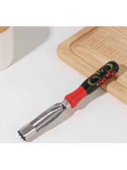 Нож для удаления сердцевины яблока с ручкой худ. роспись