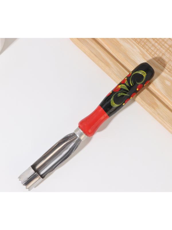 Нож для удаления сердцевины яблока с ручкой худ. роспись