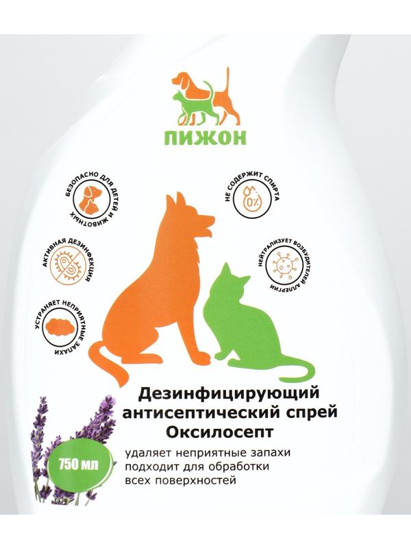 Дезинфицирующий антисептический спрей 