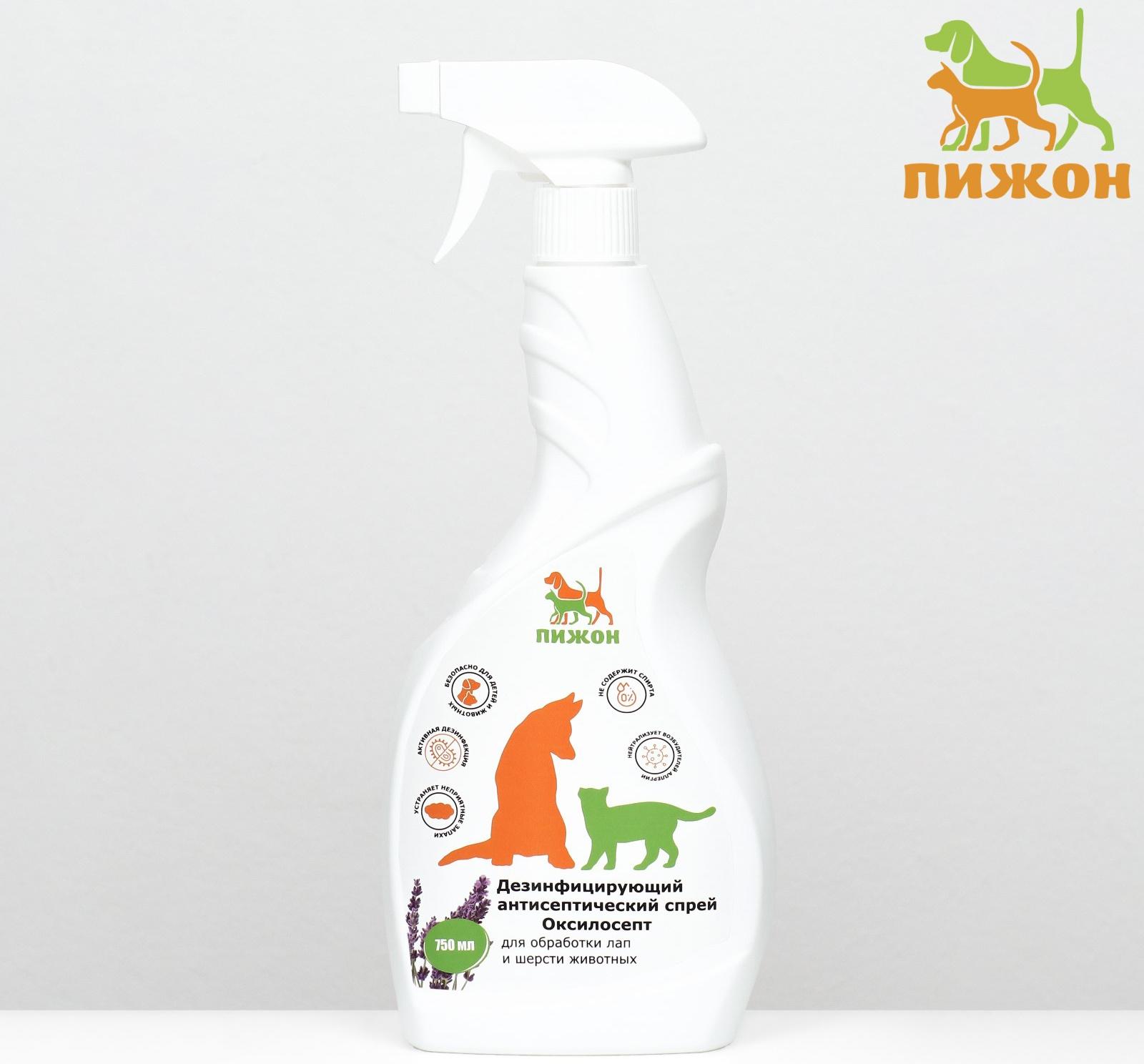 Дезинфицирующий антисептический спрей 