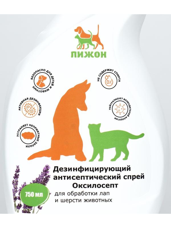 Дезинфицирующий антисептический спрей 