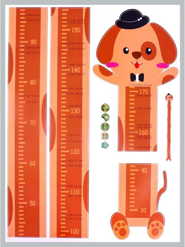 Наклейка пластик интерьерная цветная ростомер 