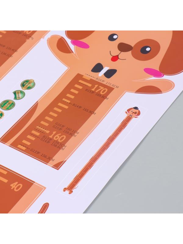 Наклейка пластик интерьерная цветная ростомер 