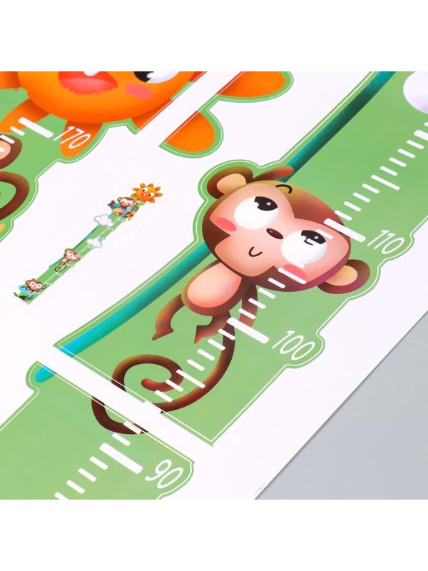 Наклейка пластик интерьерная цветная ростомер 