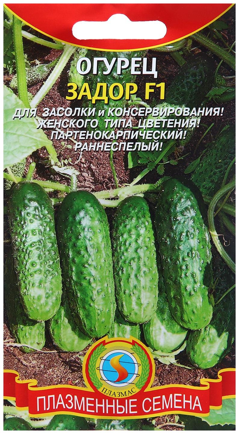 Семена Огурец Задор F1