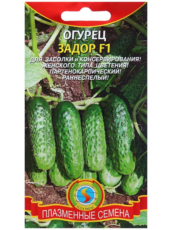 Семена Огурец Задор F1