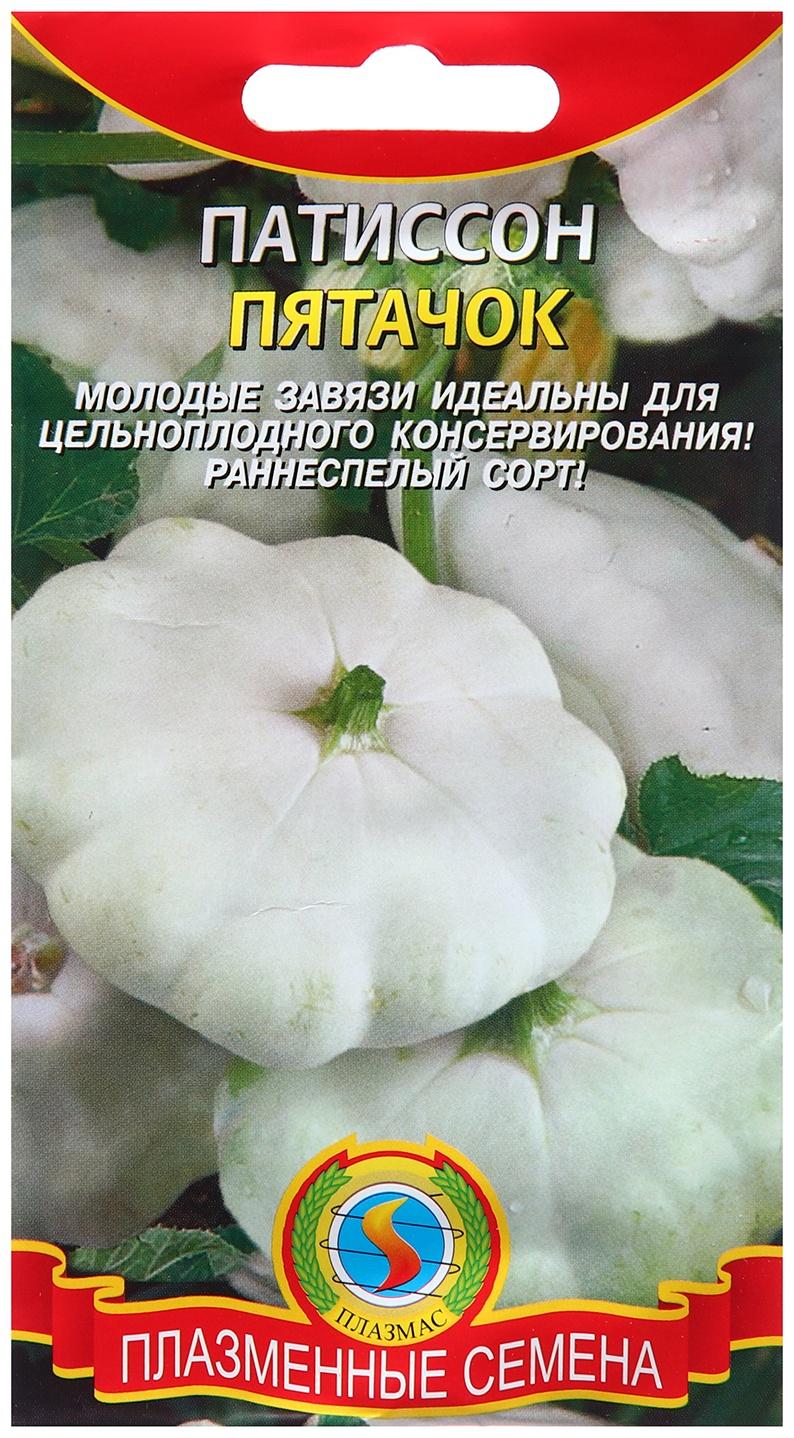 Семена Патиссон 