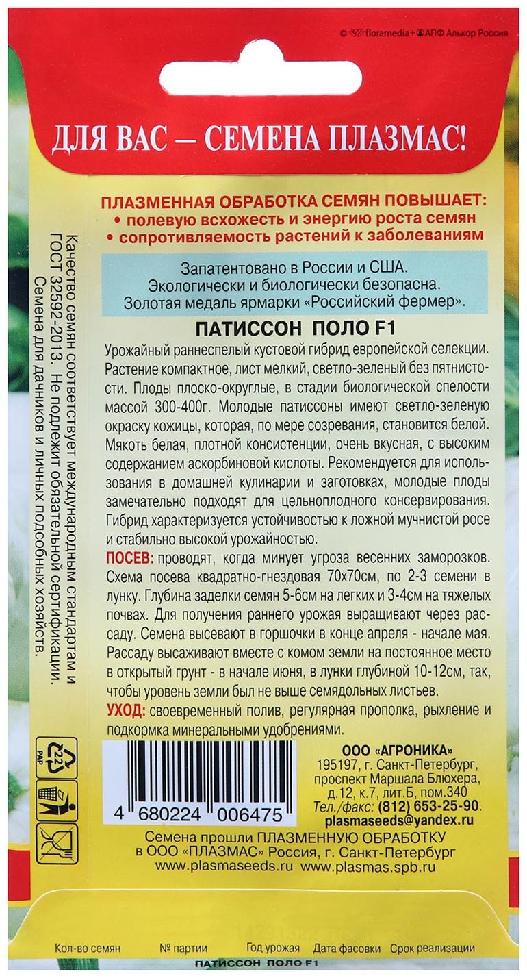 Семена Патиссон 