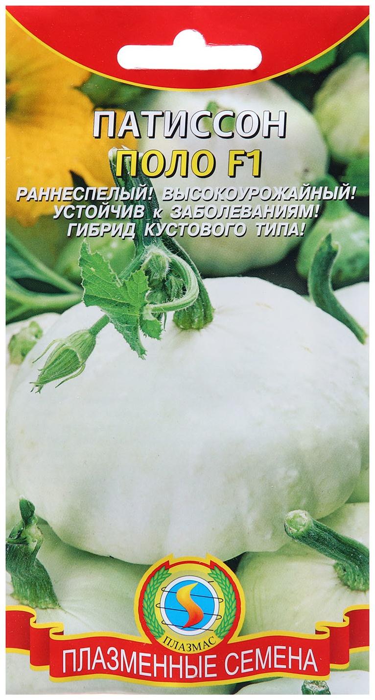 Семена Патиссон 