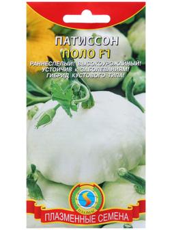 Семена Патиссон 