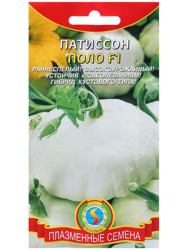 Семена Патиссон 