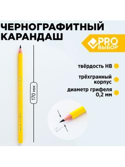 Карандаш чернографитный НВ PROвыбор «Градиент»