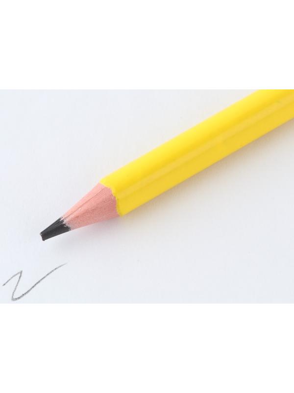 Карандаш чернографитный НВ с ластиком PROвыбор «Градиент»