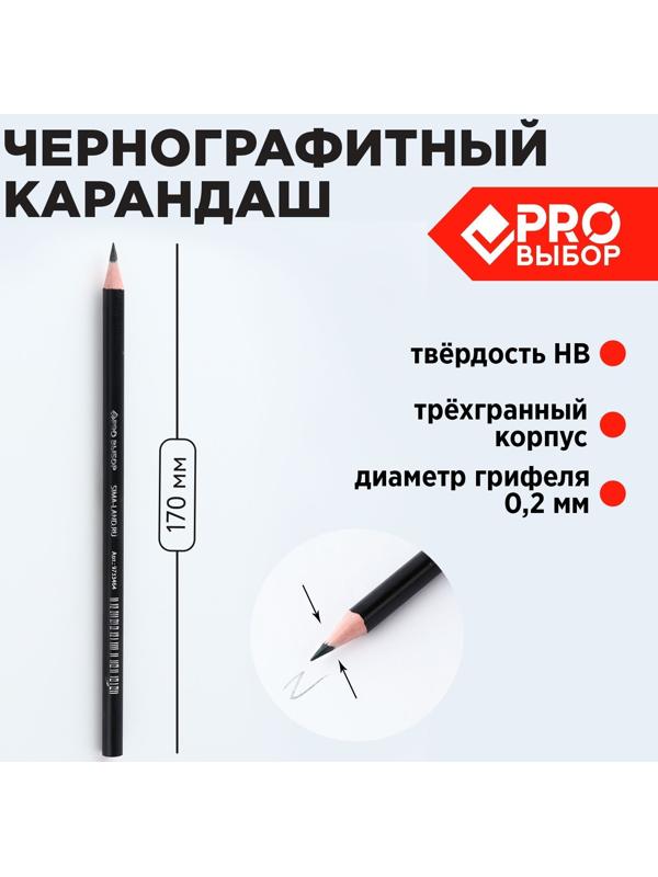 Карандаш чернографитный НВ PROвыбор «Черный неон»