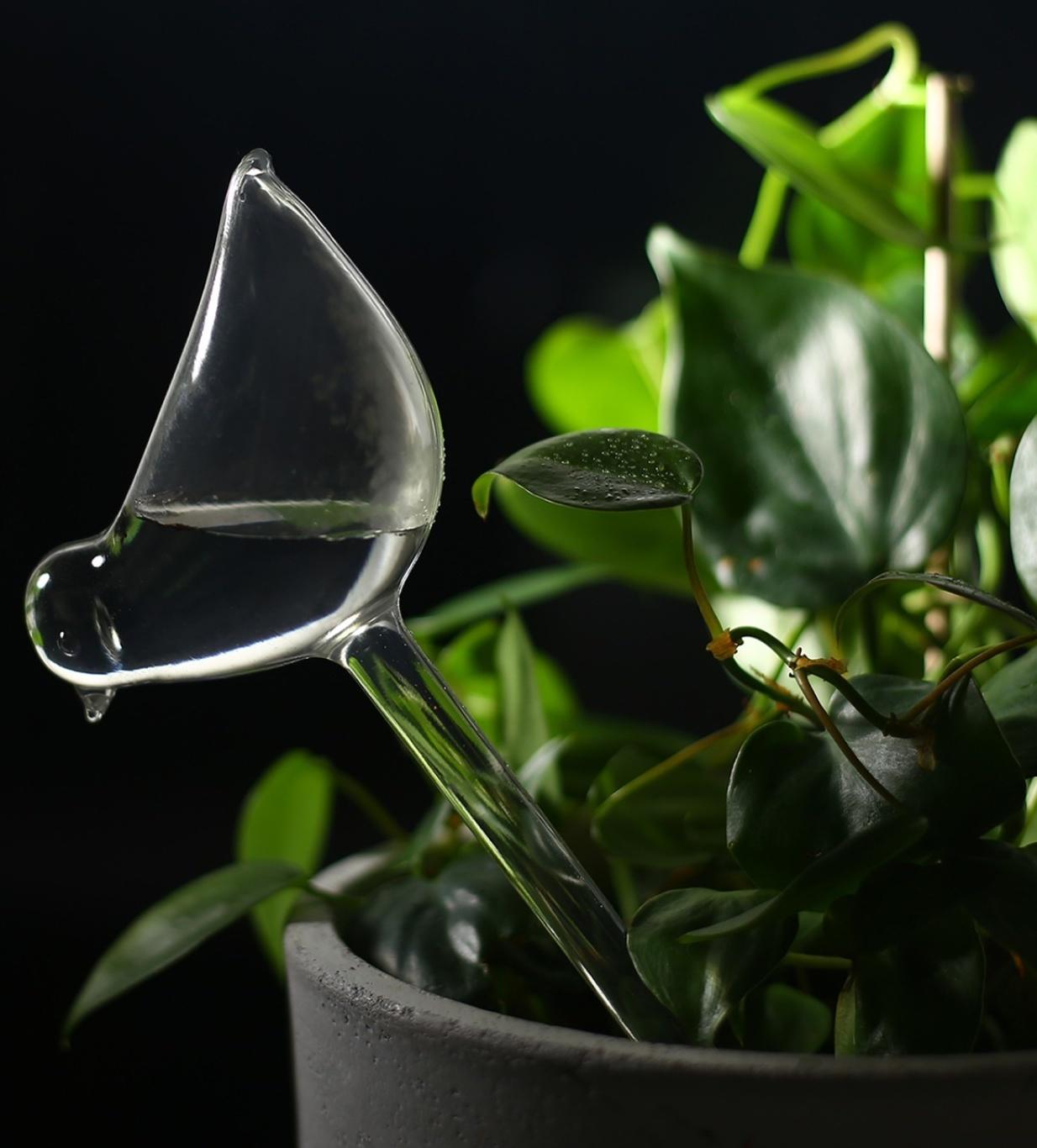 Автополив для комнатных растений, ПВХ, «Птичка», Greengo