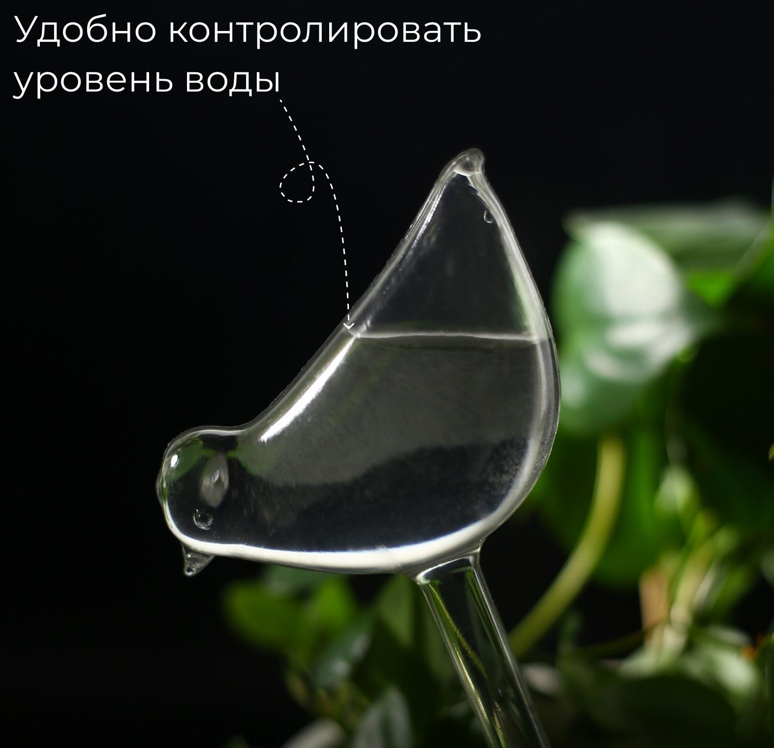 Автополив для комнатных растений, ПВХ, «Птичка», Greengo