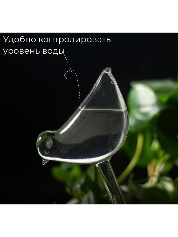 Автополив для комнатных растений, ПВХ, «Птичка», Greengo