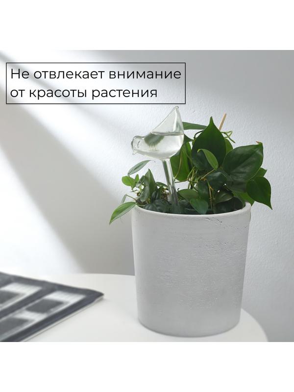 Автополив для комнатных растений, ПВХ, «Птичка», Greengo