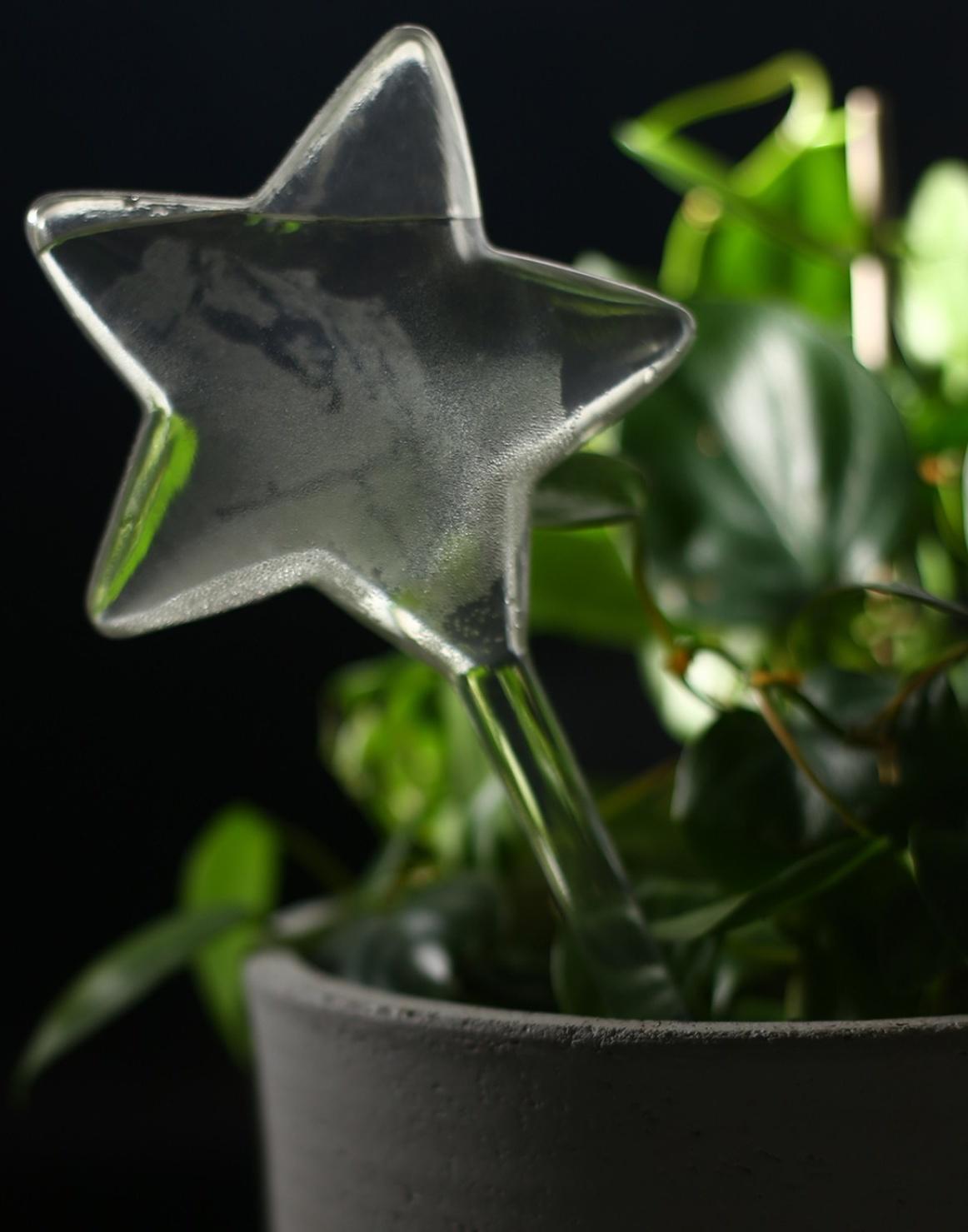 Автополив для комнатных растений, ПВХ, «Звезда», Greengo