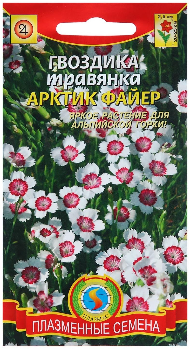 Семена Гвоздика травянка Арктик файр