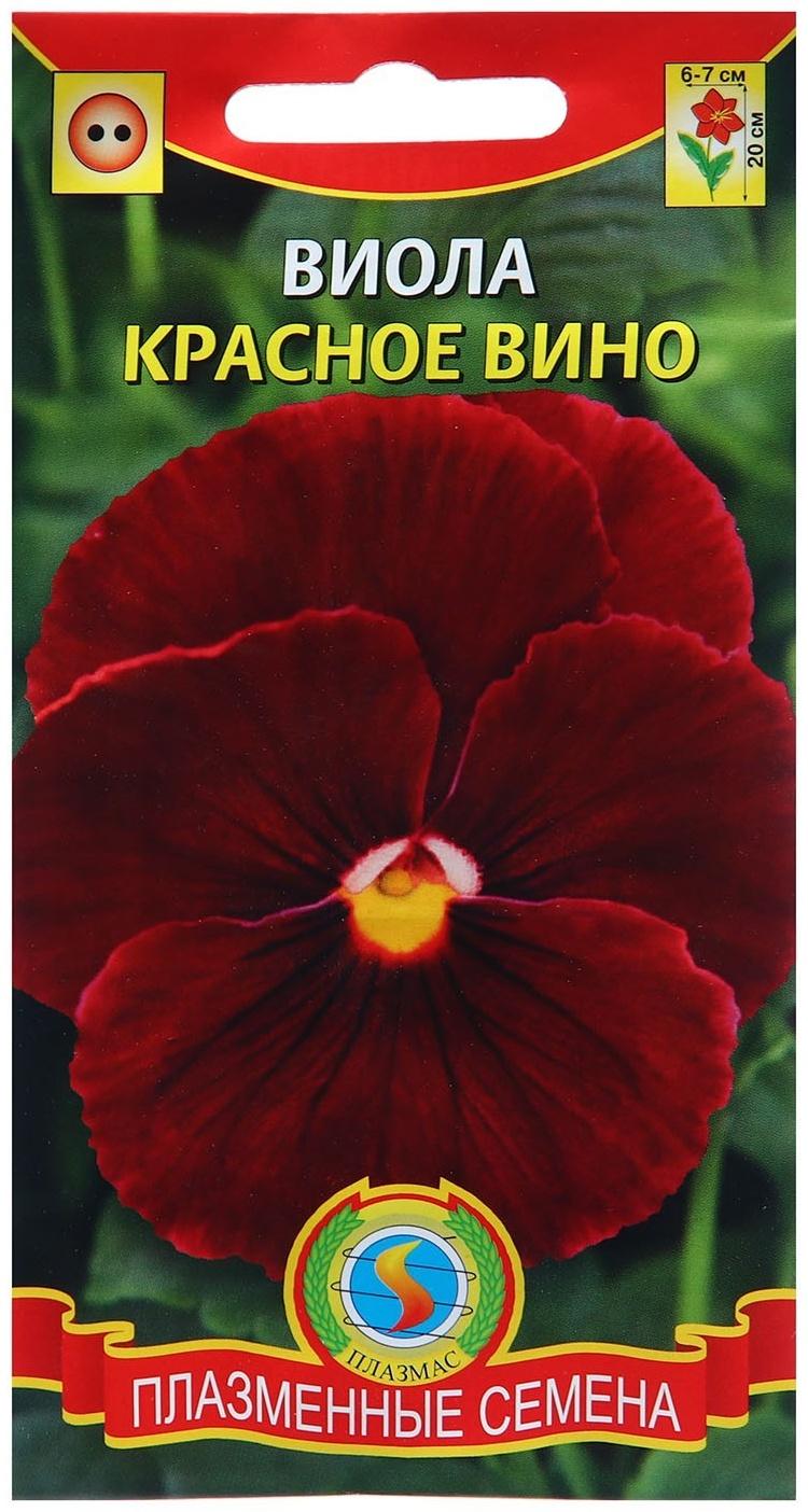 Семена Виола 