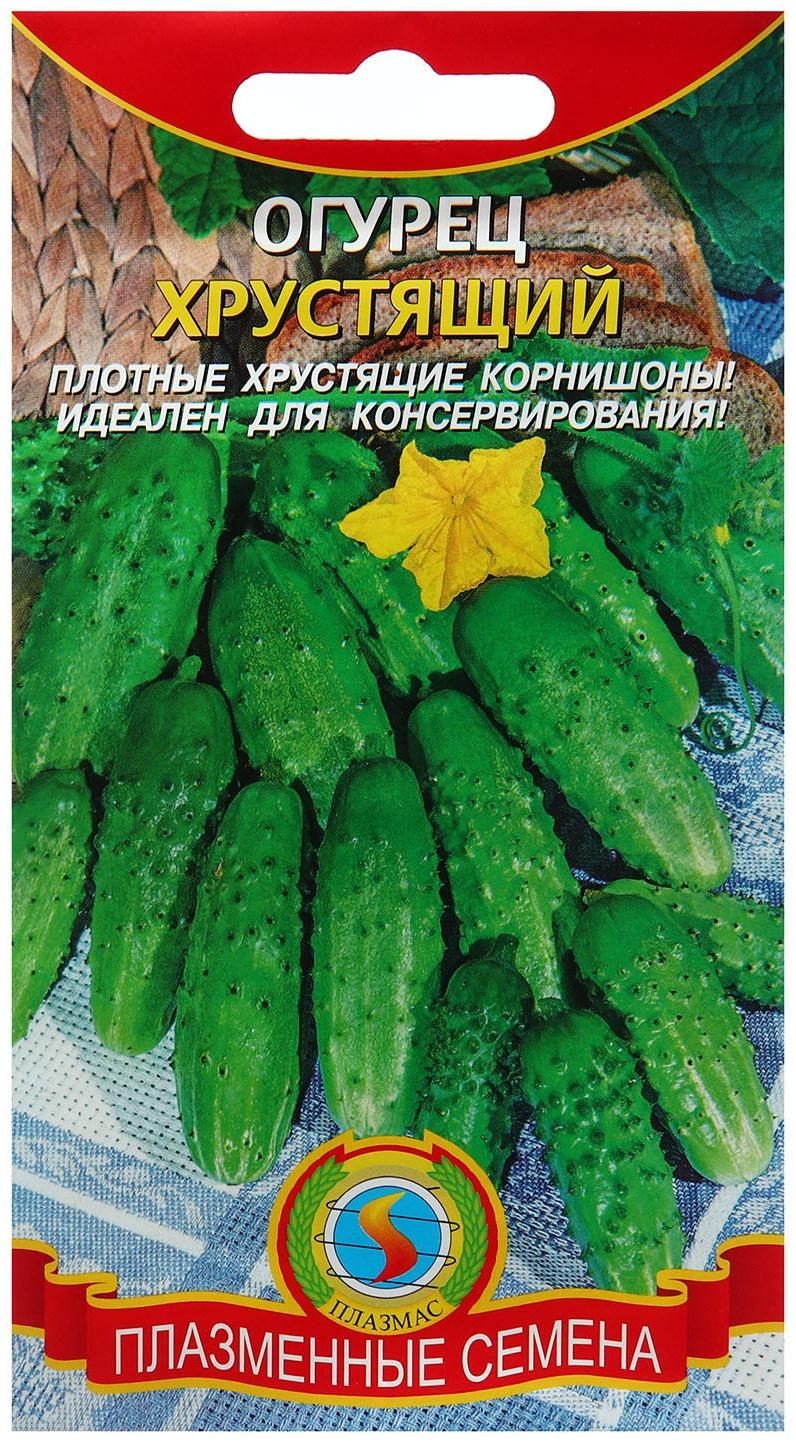 Семена Огурец 