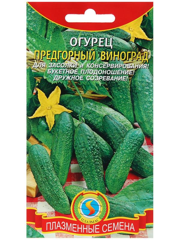 Семена Огурец 