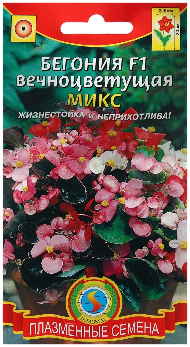 Семена Бегония вечноцветущая 