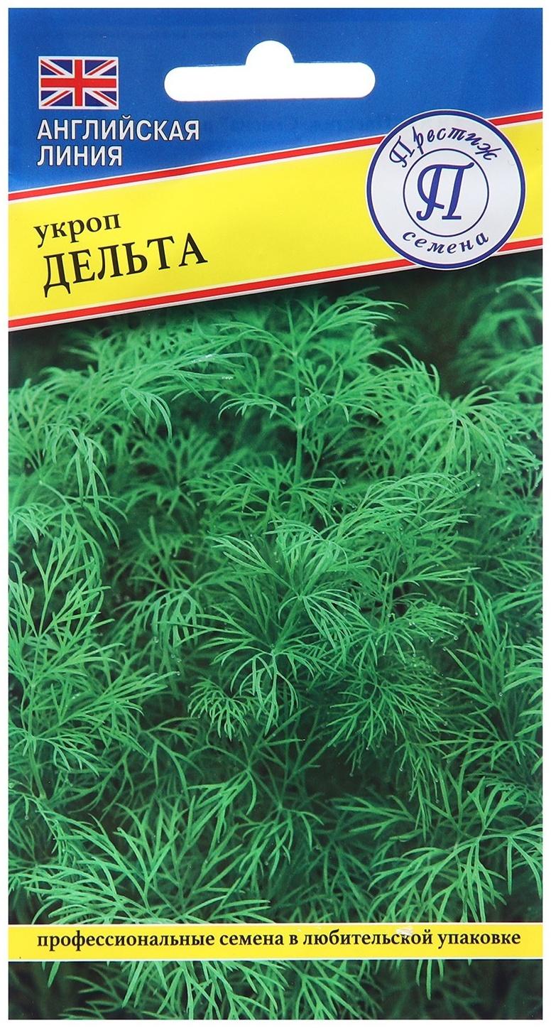 Семена Укроп 