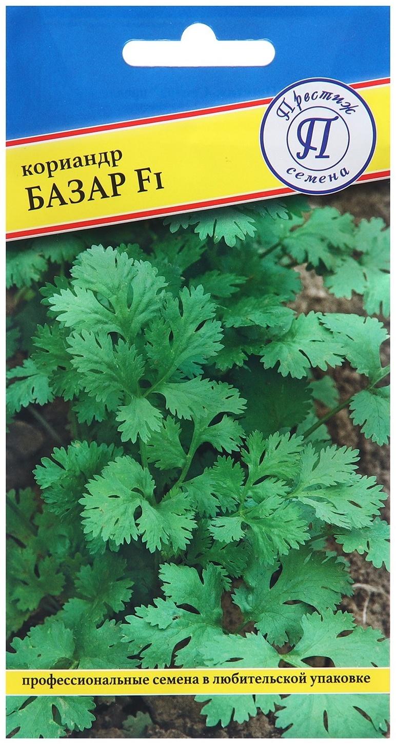 Семена Кориандр 