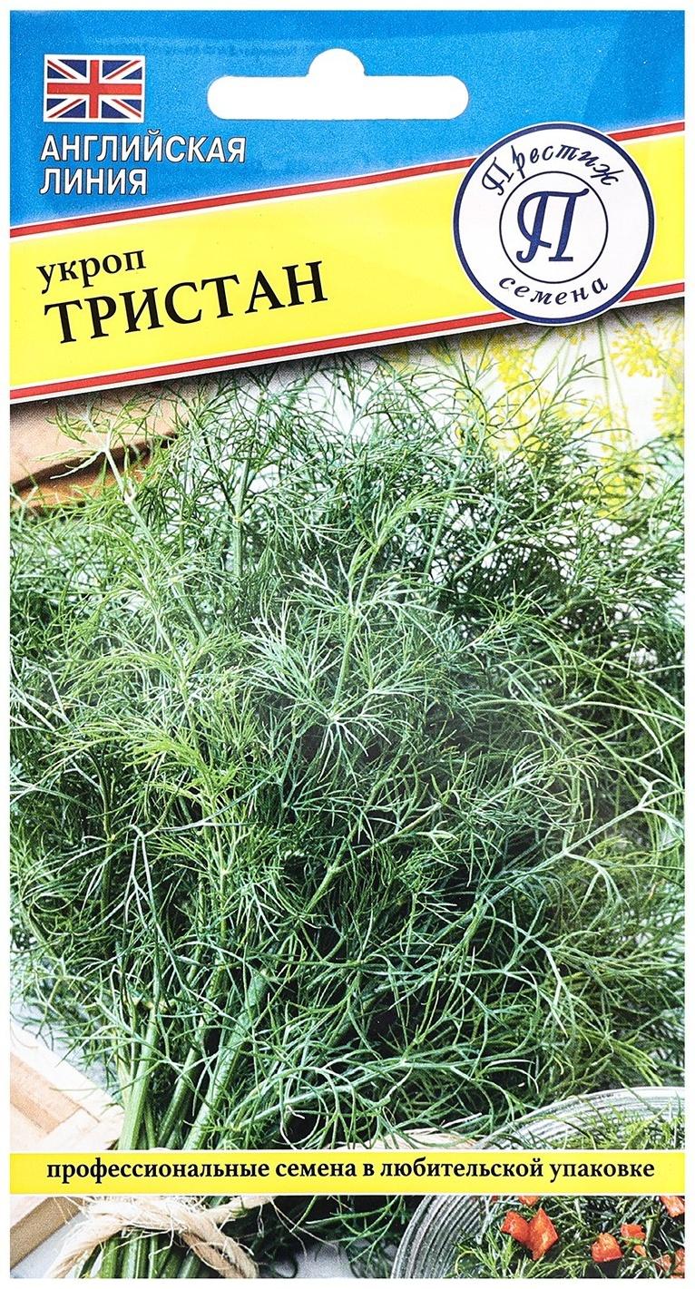 Семена Укроп 