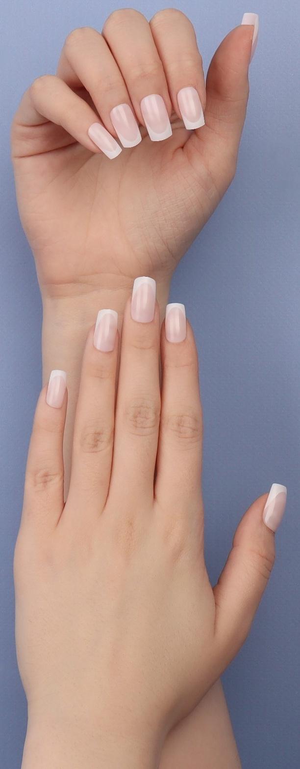 Накладные ногти «Classic French», 24 шт, с клеевыми пластинами, форма мягкий квадрат, цвет нежно-розовый/белый