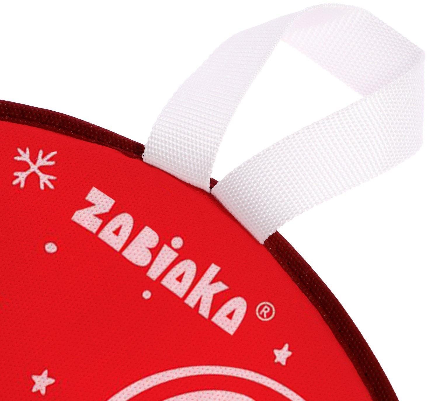 Ледянка, 33 × 33 см, зайчик