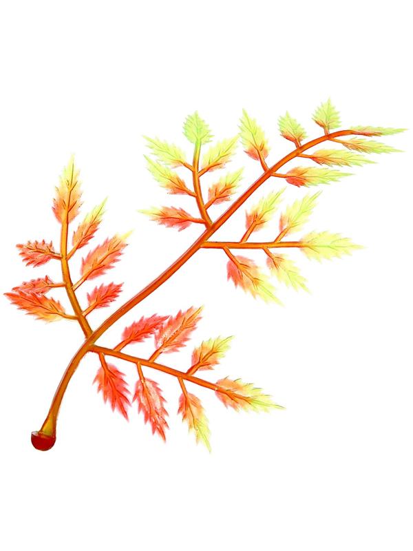 Набор солдатиков «Бойцы», 7 предметов