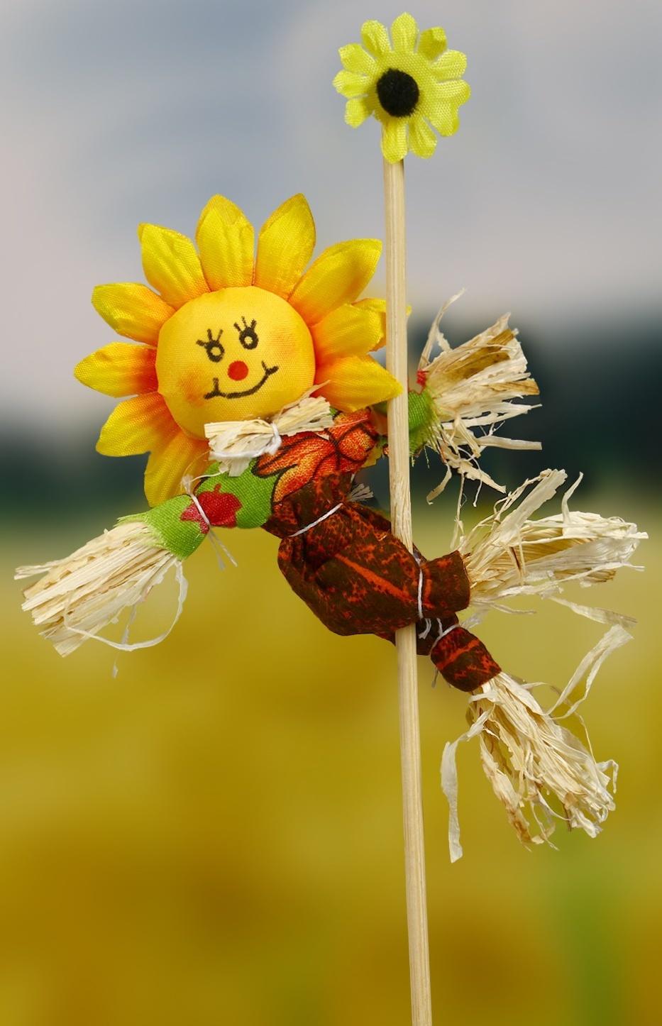 Огородное пугало «Солнце», h = 50 см, МИКС, Greengo