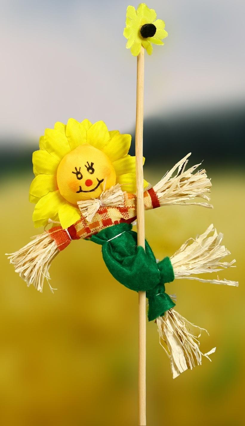 Огородное пугало «Солнце», h = 50 см, МИКС, Greengo